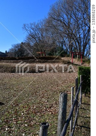 鉢形城132 二ノ曲輪、城山稲荷神社 138868289