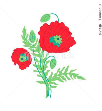 Poppy Flowers Bouquet Botanical Poppy Flowers Bouquet Botanical 138868304
