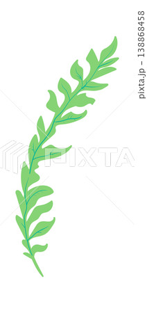 Leaf Branch Curved Botanical 138868458