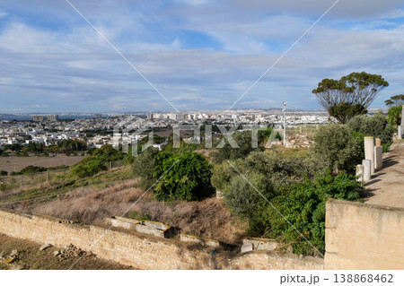 チュニジア　カルタゴ遺跡　ビュルサの丘 138868462