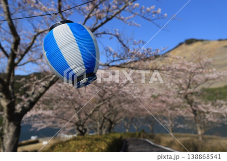 青い提灯と桜 138868541