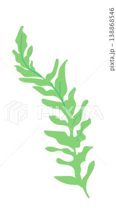 Fern Leaf Botanical Silhouette 138868546