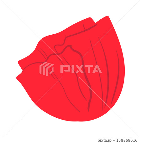 Poppy Petal Closeup Line Art 138868616