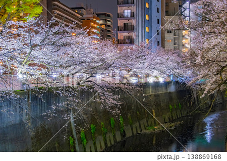 東京都 満開の桜並木とビル群が織りなす神田川沿いの美しい夜桜風景 東京都 満開の桜並木とビル群が織りなす神田川沿いの美しい夜桜風景 138869168