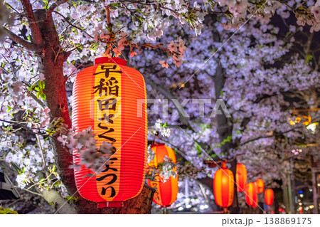 東京都新宿区 赤い提灯が灯る神田川沿いの夜桜 東京都新宿区 赤い提灯が灯る神田川沿いの夜桜 138869175