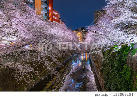 東京都 満開の桜並木とビル群が織りなす神田川沿いの美しい夜桜風景 138869181