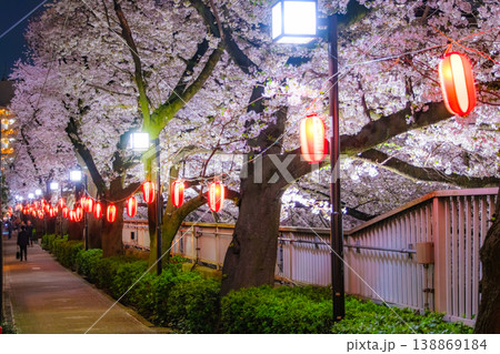 東京都新宿区 赤い提灯が灯る神田川沿いの夜桜 東京都新宿区 赤い提灯が灯る神田川沿いの夜桜 138869184