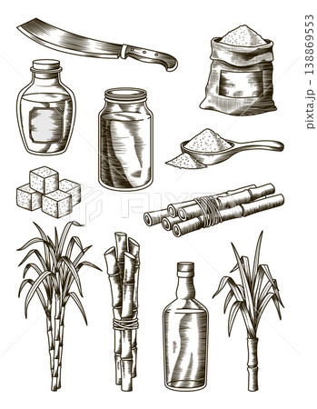 Cane sugar. Set of product from sugarcane plants. Engraving Hand drawn natural organic food and natural ingredients. Fresh squeezed sugarcane in glass, sugar in heap and cubes, bamboo and rum 138869553