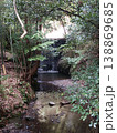 竹林に囲まれた苔むす自然の滝と清流 138869685