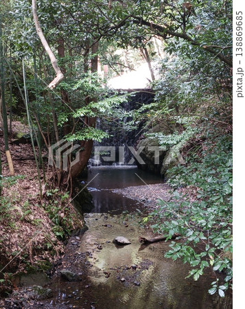 竹林に囲まれた苔むす自然の滝と清流 138869685