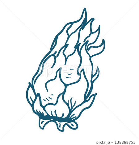 Hand drawn sketch illustration of half a dragon fruit. Vintage mediterranian blue style. Hand drawn sketch illustration of half a dragon fruit. Vintage mediterranian blue style. 138869753