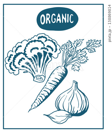 Hand drawn vector illustration of vegetables, perfect for invitations, menus, parties. La dolce vita minimalist line art for poster, placard, print, card. 138869814
