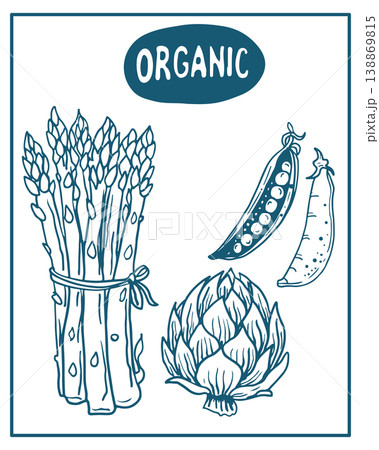 Hand drawn vector illustration of vegetables, perfect for invitations, menus, parties. La dolce vita minimalist line art for poster, placard, print, card. 138869815