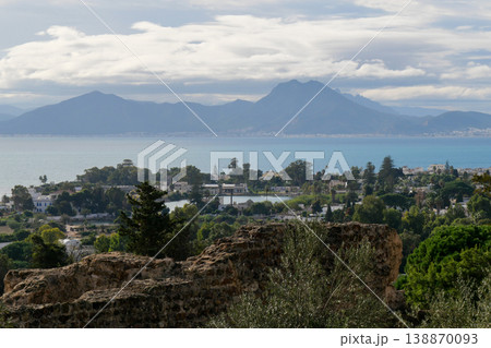 チュニジア　カルタゴ遺跡　ビュルサの丘からの眺望 138870093