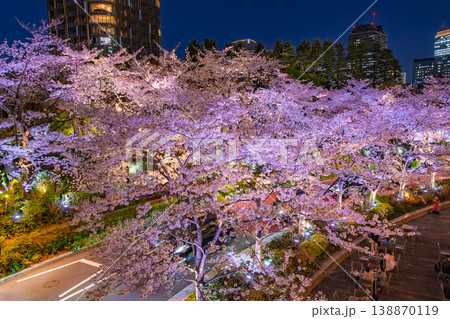 東京都港区 東京ミッドタウンのさくら通りを彩る満開の夜桜ライトアップ 東京都港区 東京ミッドタウンのさくら通りを彩る満開の夜桜ライトアップ 138870119