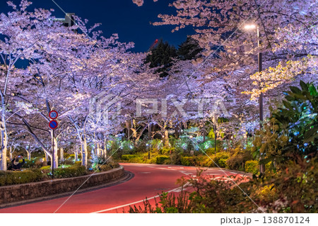 東京都港区 東京ミッドタウンのさくら通りを彩る満開の夜桜ライトアップ 東京都港区 東京ミッドタウンのさくら通りを彩る満開の夜桜ライトアップ 138870124