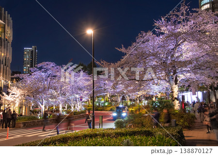 東京都港区 東京ミッドタウンのさくら通りを彩る満開の夜桜ライトアップ 東京都港区 東京ミッドタウンのさくら通りを彩る満開の夜桜ライトアップ 138870127