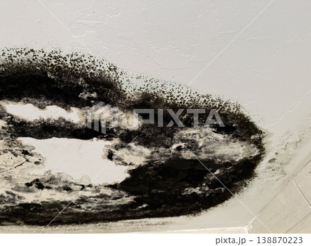 Mold damage on ceiling corner showing dark stains and spreading pattern, suitable for background Mold damage on ceiling corner showing dark stains and spreading pattern, suitable for background 138870223