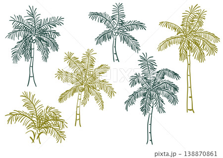 Set of hand drawn green and olive palm tree illustrations isolated on a white background. 138870861