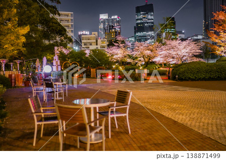 夜桜広場と街灯 138871499