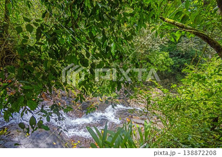 Jungle path in tropical forest Valle de Anton Panama Jungle path in tropical forest Valle de Anton Panama 138872208