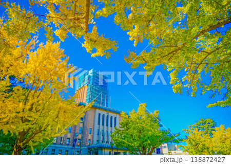 横浜・日本大通りの紅葉 横浜・日本大通りの紅葉 138872427