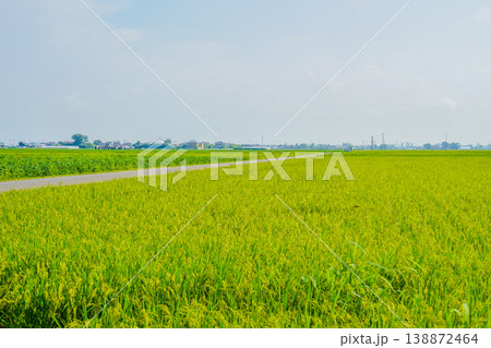 仙台平野の田園 仙台平野の田園 138872464