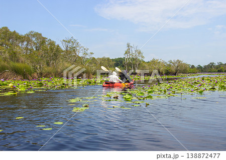 Tourists kayaking at Rayong Botanical Gardens, enjoying the blooming lotus fields and the wetland ecosystem, which is open to the public to promote ecotourism, Klaeng district, Rayong province, Tourists kayaking at Rayong Botanical Gardens, enjoying the blooming lotus fields and the wetland ecosystem, which is open to the public to promote ecotourism, Klaeng district, Rayong province, 138872477