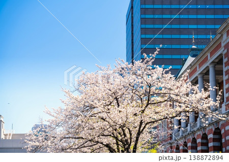 法務省・旧本館赤れんが 満開の桜 法務省・旧本館赤れんが 満開の桜 138872894