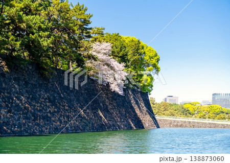 皇居二重橋前にひっそりと佇む満開の桜 皇居二重橋前にひっそりと佇む満開の桜 138873060