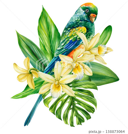 rainbow lorikeet watercolor clipart with yellow orchids and monstera leaves isolated for tropical garden design 138873064