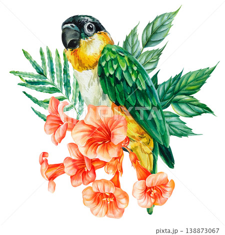 side view tropical parrot watercolor clipart with coral trumpet flowers and emerald leaves isolated for botanical design side view tropical parrot watercolor clipart with coral trumpet flowers and emerald leaves isolated for botanical design 138873067