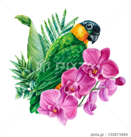 tropical parrot with pink orchids watercolor clipart isolated on light background with lush green leaves for exotic decor tropical parrot with pink orchids watercolor clipart isolated on light background with lush green leaves for exotic decor 138873068