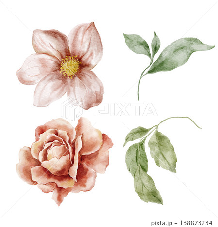 Set of 4 hand painted watercolor rose garden flowers and green leaves isolated on white background, dusty pink botanical clipart. Floral Illustration for design, print, fabric, background. 138873234
