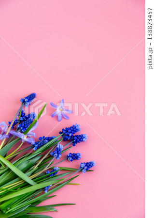delicate blue spring flowers on soft pink pastel background with copy space delicate blue spring flowers on soft pink pastel background with copy space 138873457