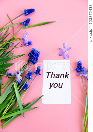 elegant spring flowers with gratitude message on pastel backdrop elegant spring flowers with gratitude message on pastel backdrop 138873458