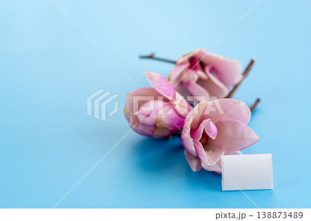 pink magnolia flowers with blank card on blue background 138873489