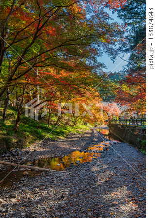 森町の遠江国一宮小國神社の紅葉の風景(静岡県) 森町の遠江国一宮小國神社の紅葉の風景(静岡県) 138874843