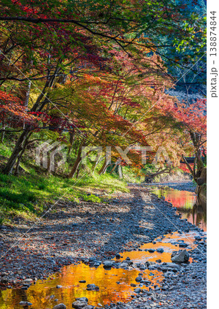 森町の遠江国一宮小國神社の紅葉の風景(静岡県) 森町の遠江国一宮小國神社の紅葉の風景(静岡県) 138874844