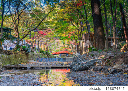 森町の遠江国一宮小國神社の紅葉の風景(静岡県) 森町の遠江国一宮小國神社の紅葉の風景(静岡県) 138874845