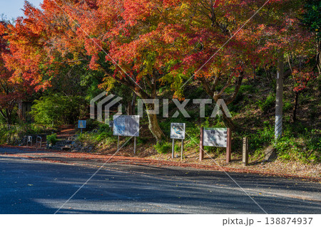 浜松市の鳥羽山公園の紅葉の風景(静岡県) 浜松市の鳥羽山公園の紅葉の風景(静岡県) 138874937