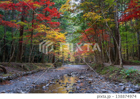 森町の遠江国一宮小國神社の紅葉の風景(静岡県) 森町の遠江国一宮小國神社の紅葉の風景(静岡県) 138874974