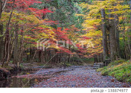 森町の遠江国一宮小國神社の紅葉の風景(静岡県) 138874977
