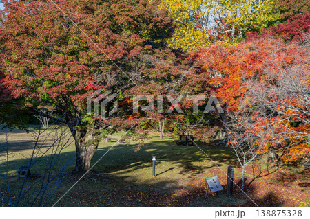 浜松市の鳥羽山公園の紅葉の風景(静岡県) 138875328