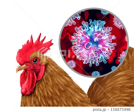 H5N1 Virus Outbreak H5N1 Virus Outbreak 138875996