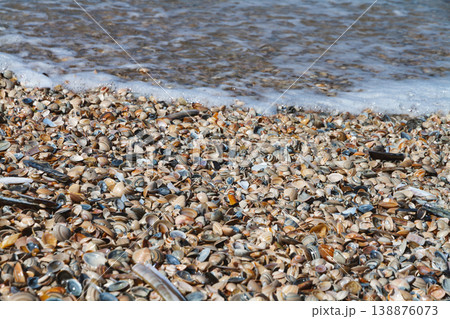 Seashell texture with sea foam on the beach 138876073