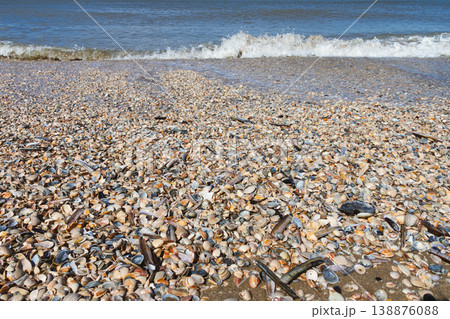 Seashell beach with waves and sea in The Hague Netherlands Seashell beach with waves and sea in The Hague Netherlands 138876088