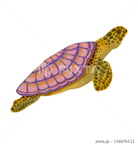 Watercolor illustration of sea turtle. Tropical marine animal. Bright illustrations, suitable for sea travel, cheerful summer designs, textiles, summer and children's clothing. Print for children's. 138876111