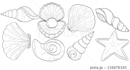 Ultimate hand drawn seashell line art collection of eight unique marine pieces on a transparent background 138876385