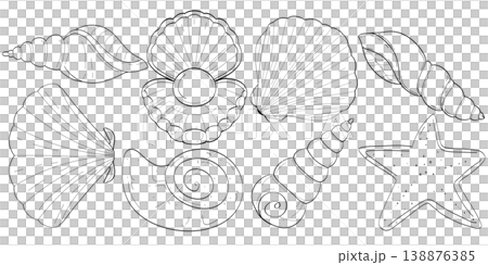 Ultimate hand drawn seashell line art collection of eight unique marine pieces on a transparent background 138876385